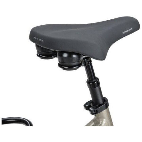 Batavus Finez E-Go Power Exclusiv Champagne Goud Glans Lageinstap - Afbeelding 8