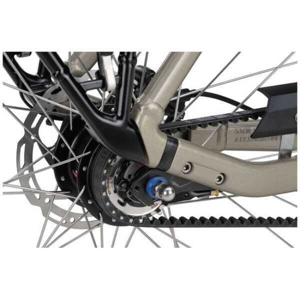 Batavus Finez E-Go Power Exclusiv Champagne Goud Glans Lageinstap - Afbeelding 6