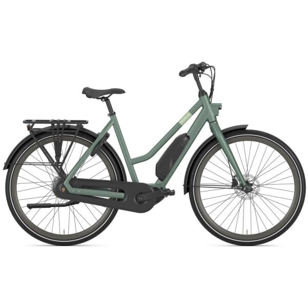 Gazelle Esprit C7 Moss Green Mat DAMES
