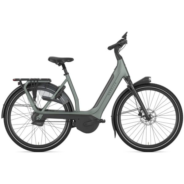 Gazelle Avignon C380+ Twilight Green Mat DAMES