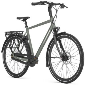 Gazelle Chamonix C8 Clay Green Mat Heren