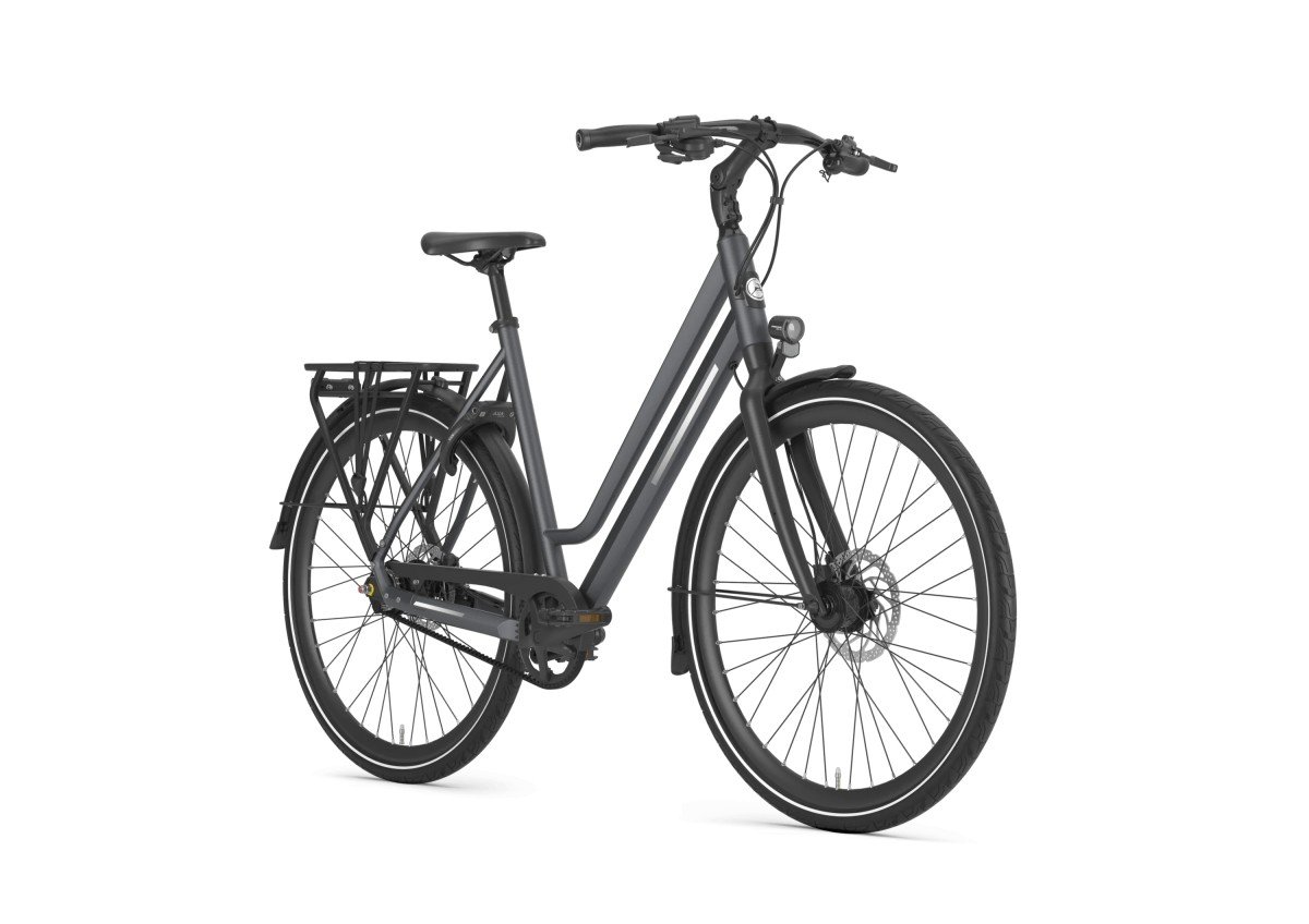 Gazelle Chamonix S11 Cloud Grey Mat DAMES - Afbeelding 3